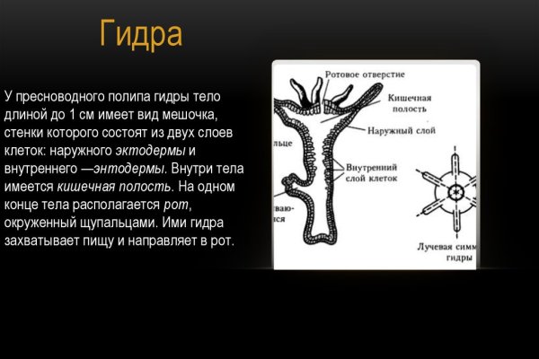 Ссылка адрес на кракен