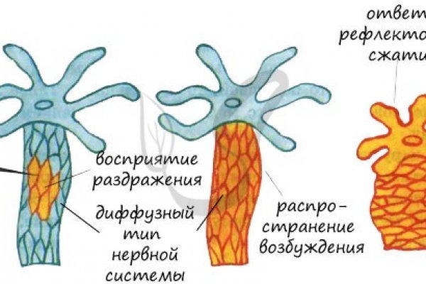 Кракен сайт ссылка онлайн