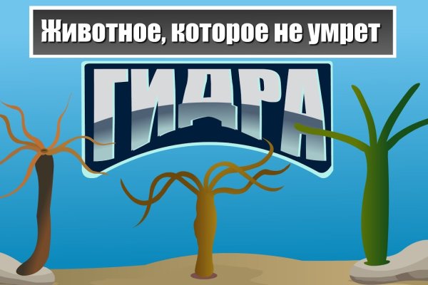 Список луковых tor сайтов